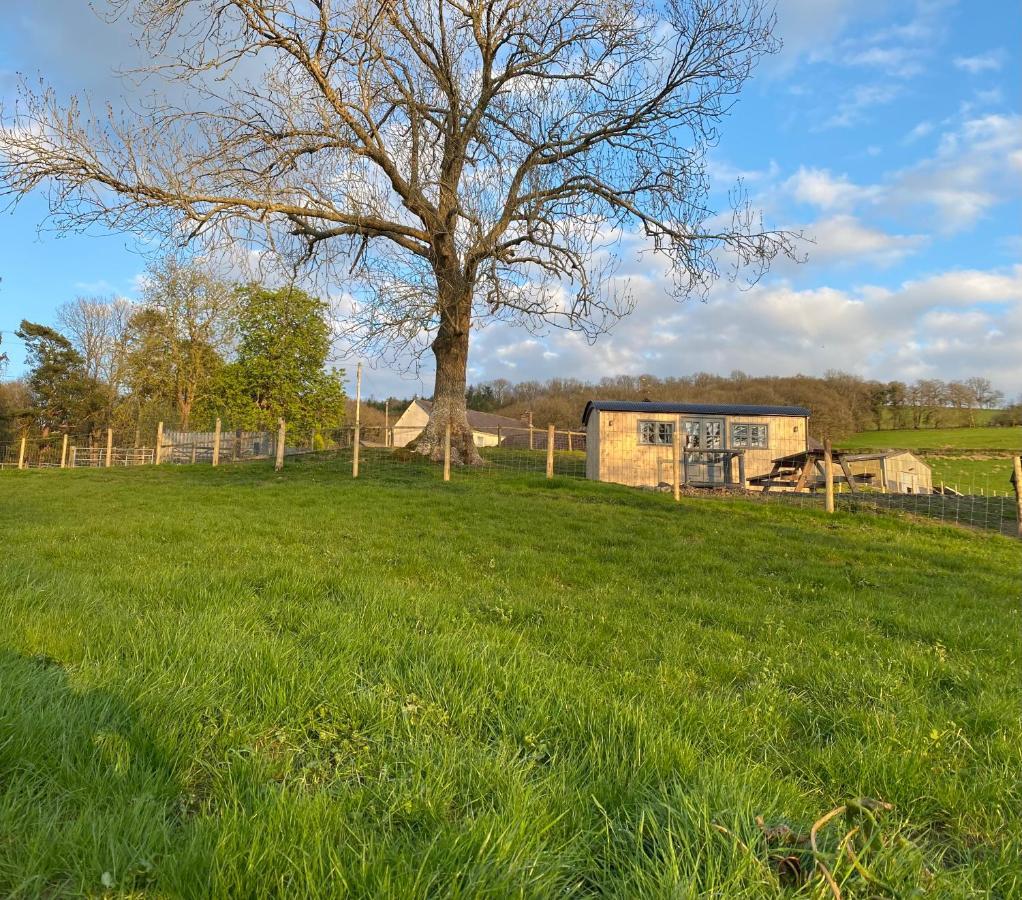 Oakies Farm Stays Llandovery Buitenkant foto
